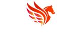 footer-logo